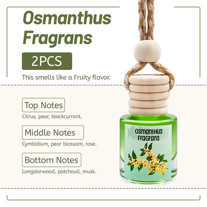 2Pack Air Fresheners Hanging Scent Oil Diffuser - 8ML with Three Scents for Car & Live Gifts - Non-Aerosol, Convenient for Car Use